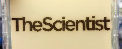 Yeast art of <em >The Scientist</em>’s logo. Yeast art of <em >The Scientist</em>’s logo.